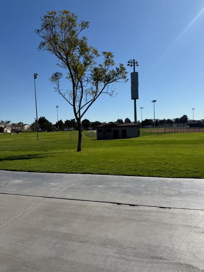 walking near me in McCune Park in spring