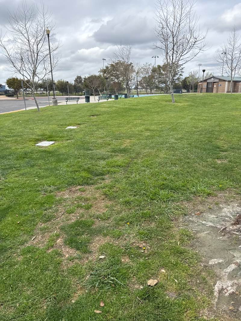 walking near me in Vernola Family Park in spring