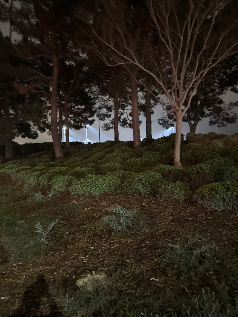 walking near me in Windrow Athletic Community Park in autumn