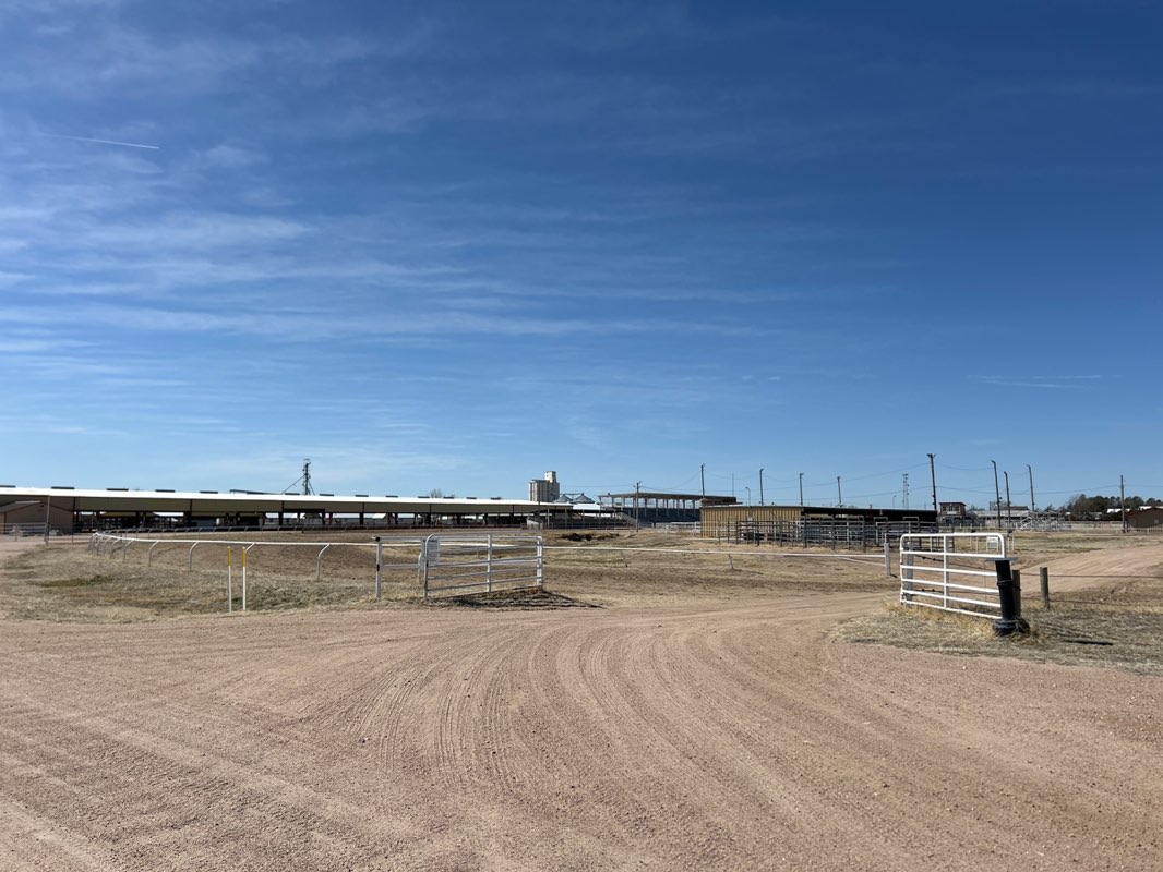 walking near me in Yuma County Fairgrounds in spring