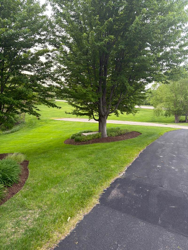 walking near me in Tournament Drive Park in summer