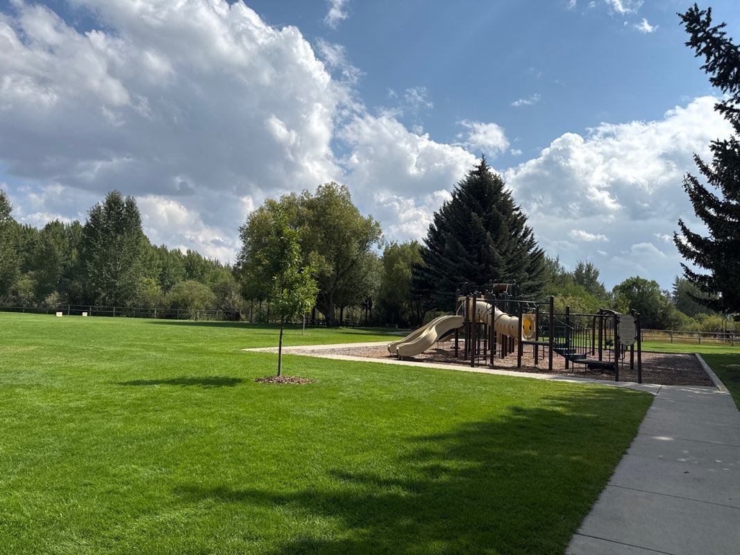 walking near me in Owen Bircher Park in autumn