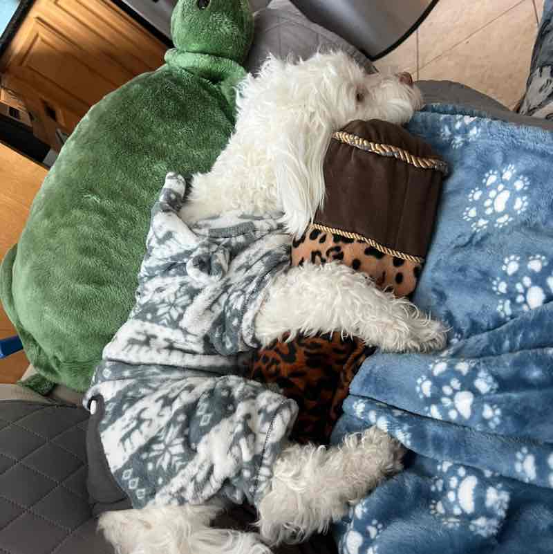 Nhi-ver Stop Stepping 🏃‍♀️🏃 Louie post image