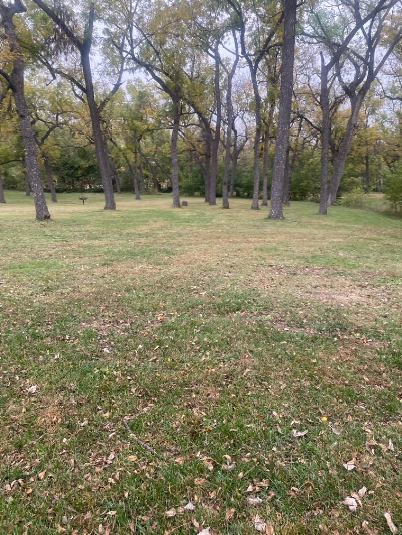 walking near me in Bryan Park in autumn