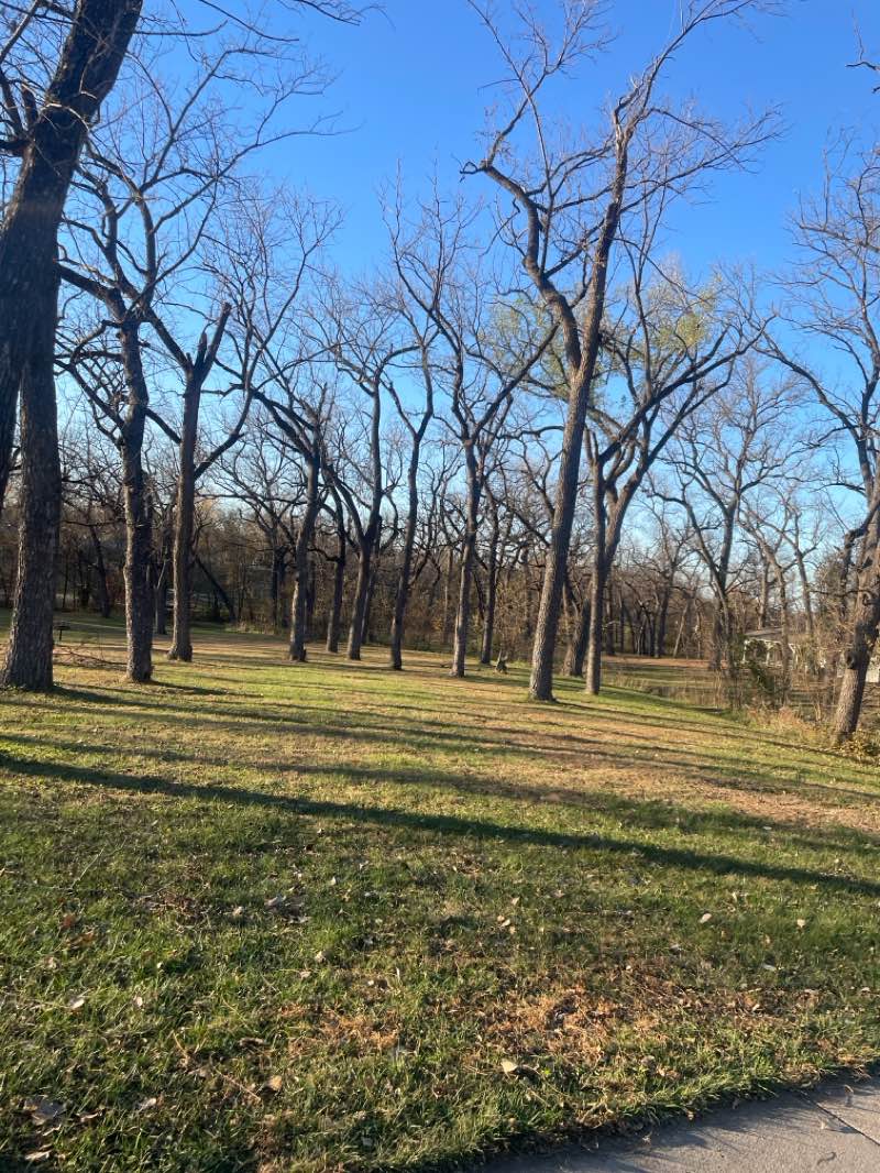 walking near me in Walnut Grove Park in autumn
