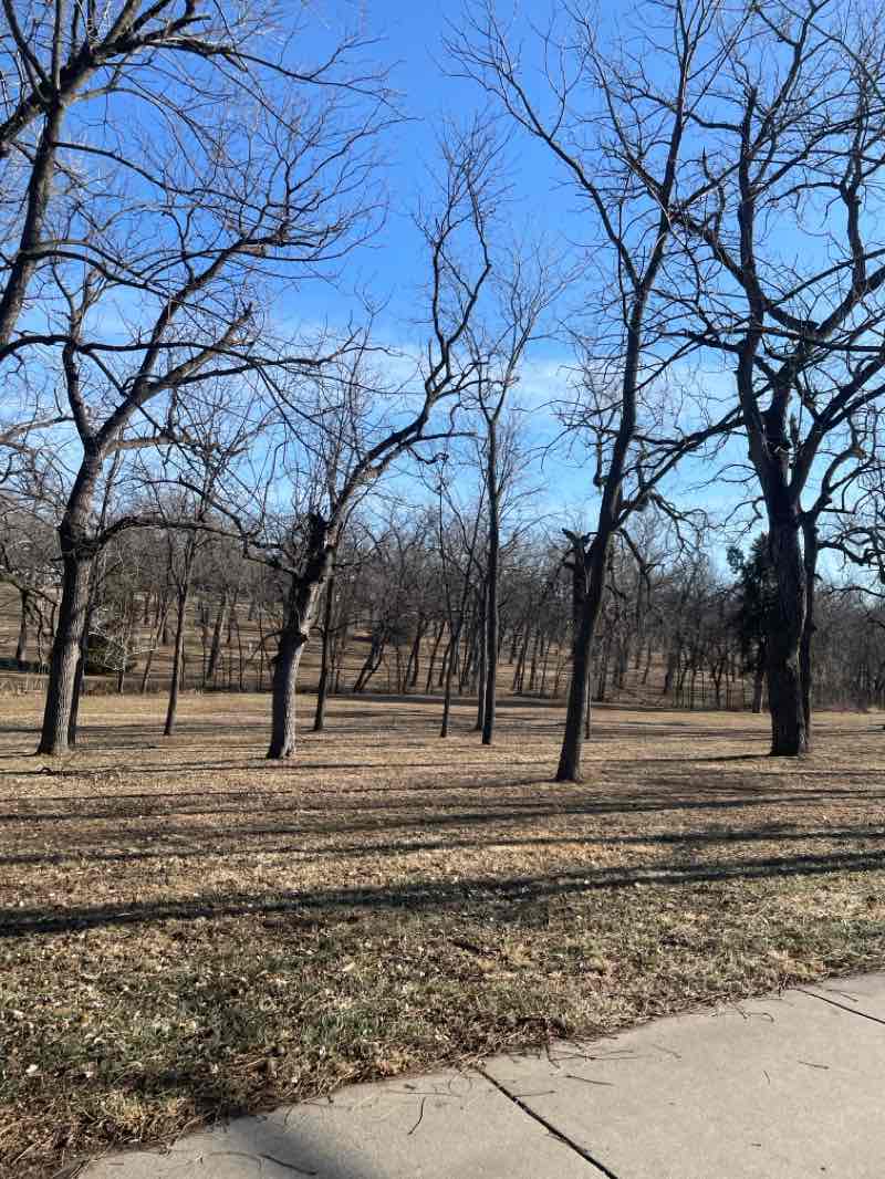 walking near me in Walnut Grove Park in winter