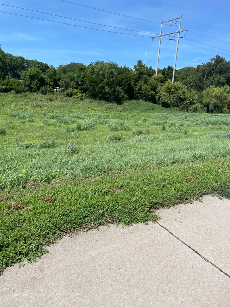 walking near me in One Pacific Place Park in summer
