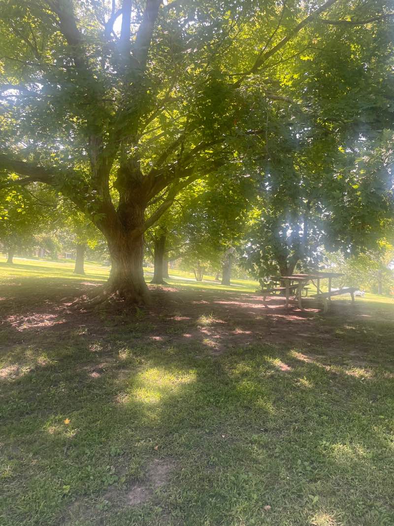 walking near me in Wildwood in autumn