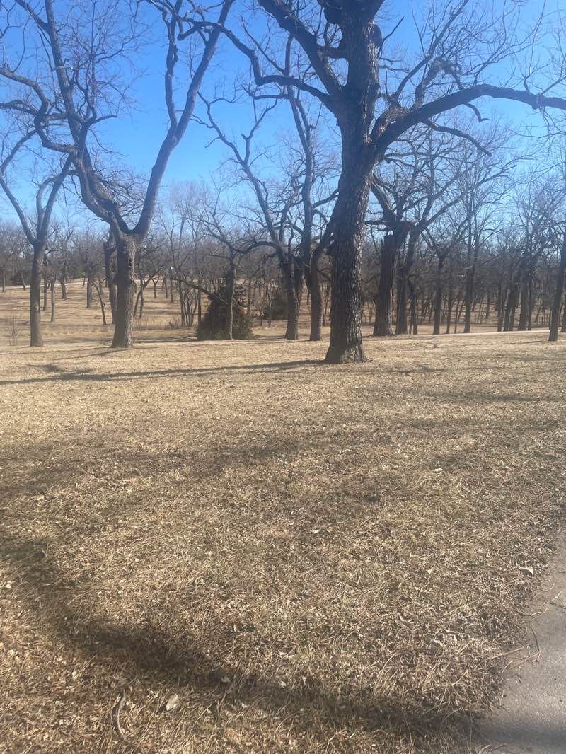 walking near me in Walnut Grove Park in spring