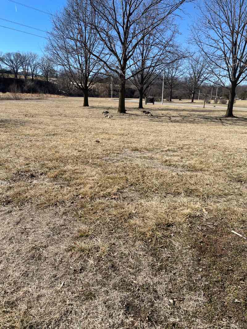 walking near me in One Pacific Place Park in winter