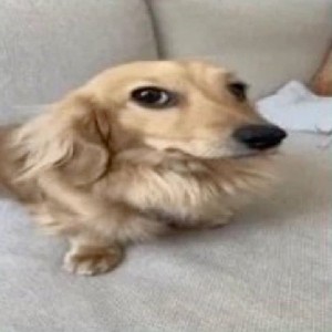 Пол і на profile