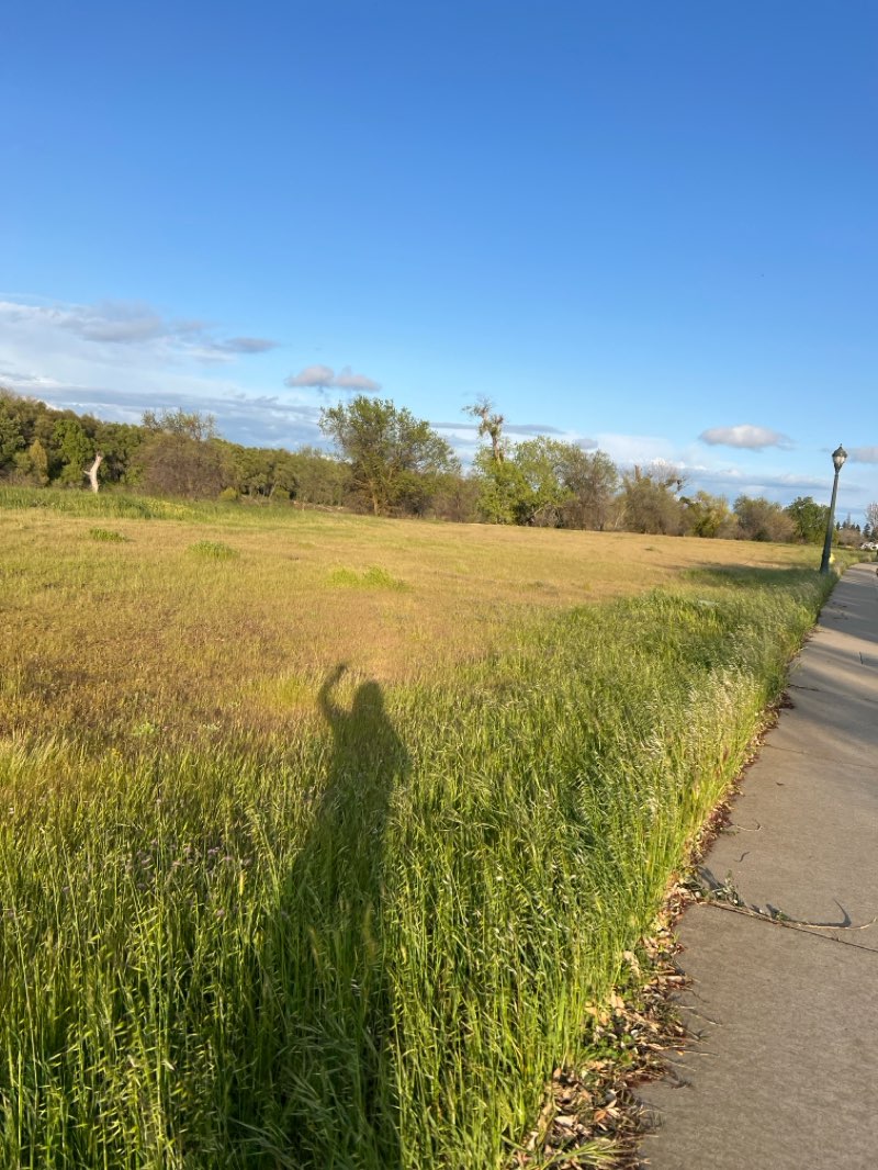 walking near me in Yolo County Park in spring