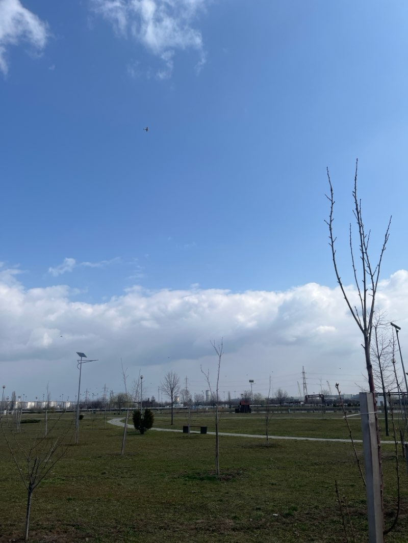 walking near me in Parcul Municipal Ploiești Vest in spring