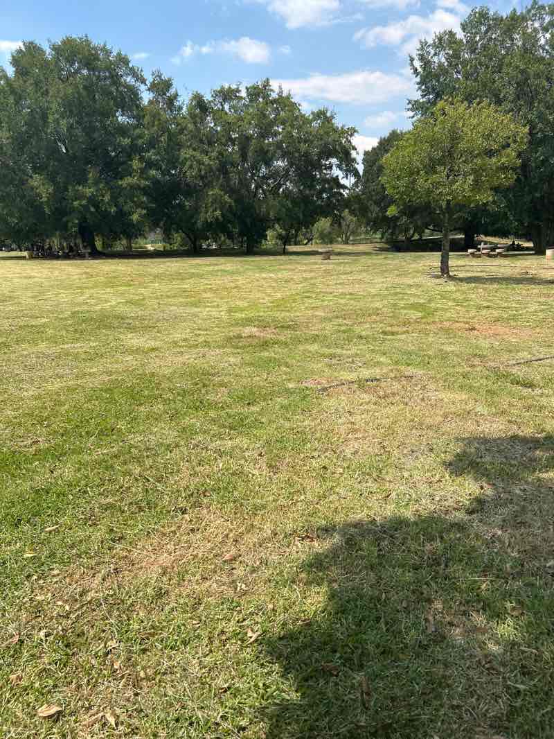 walking near me in Horwood's Farm in summer