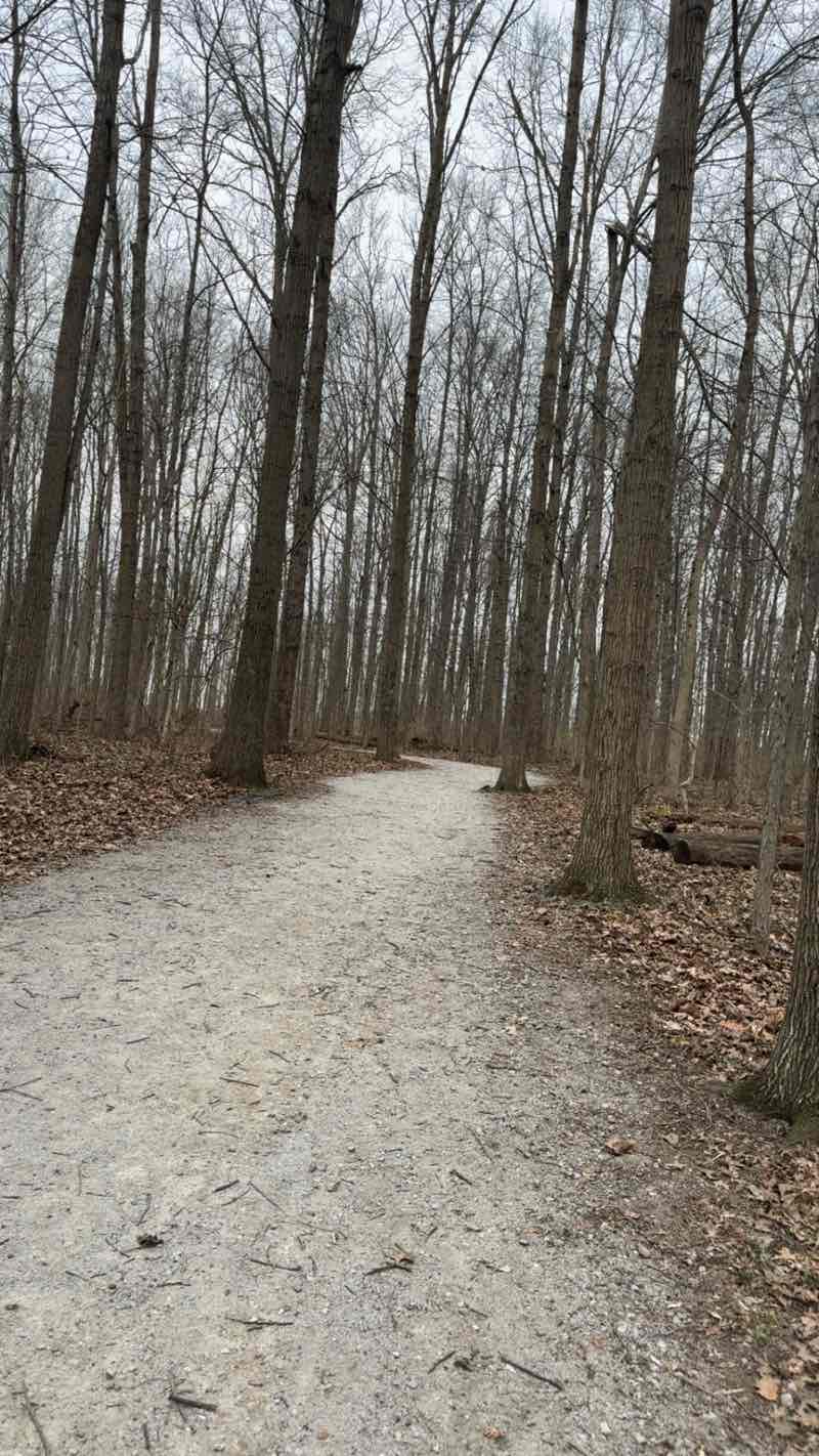 walking near me in Hermon Woodlands in spring