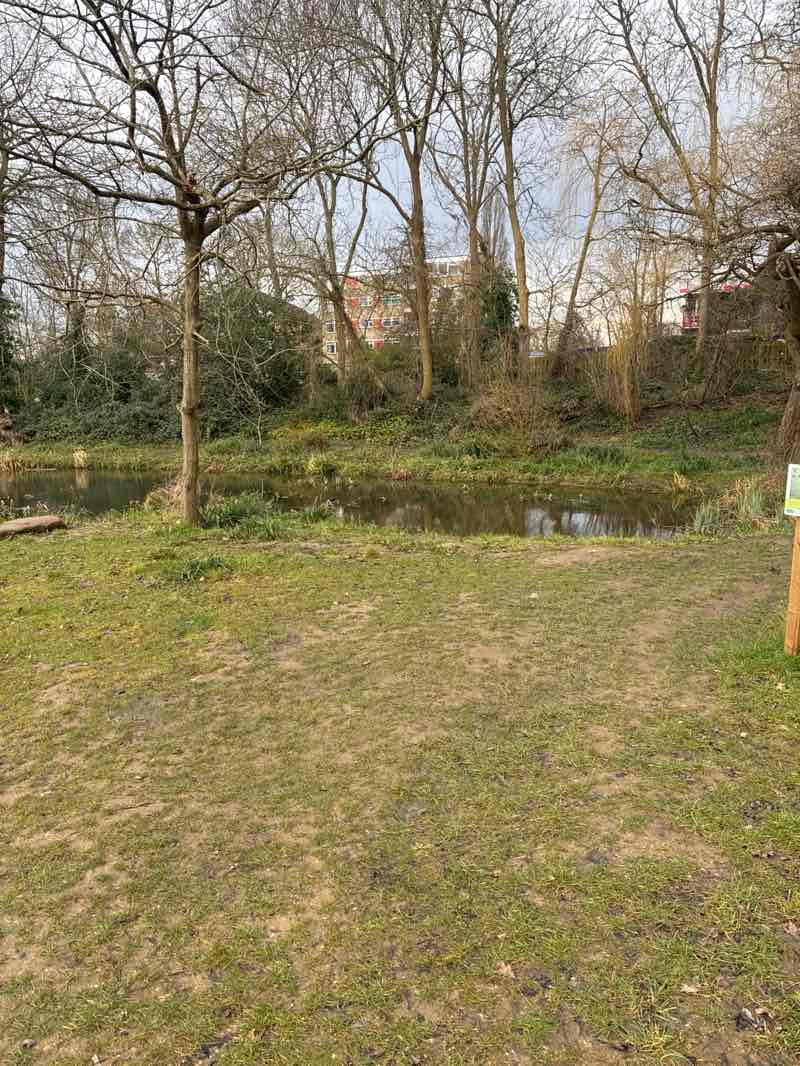 walking near me in Fishponds Park in winter