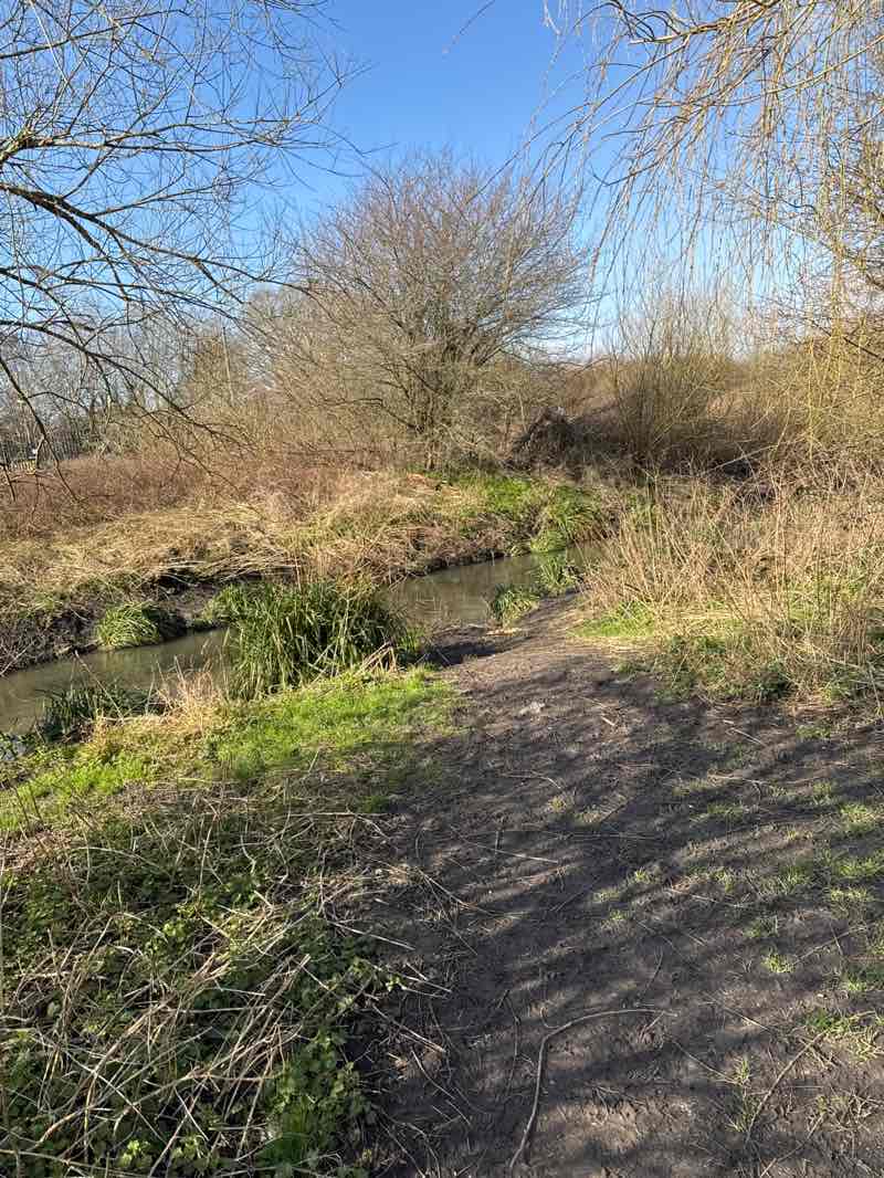 walking near me in Green Lane Recreation Ground in winter