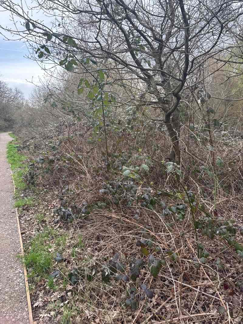 walking near me in Long Meadow in spring
