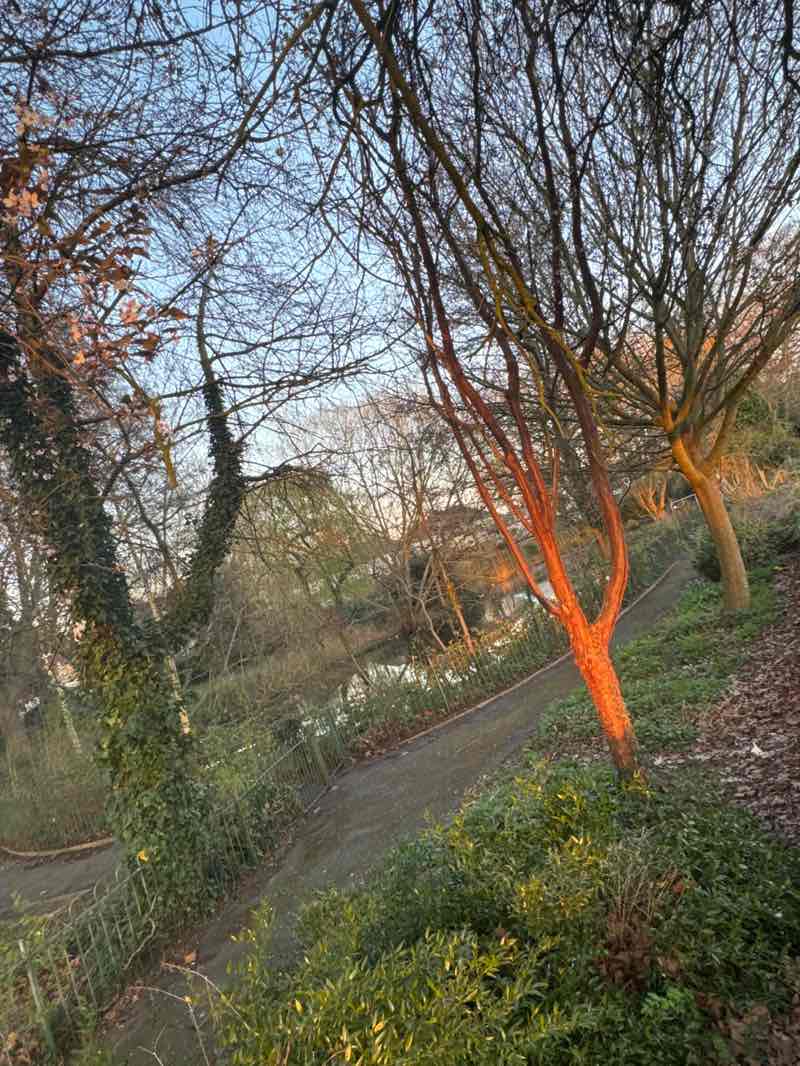 walking near me in Feltham Park in spring