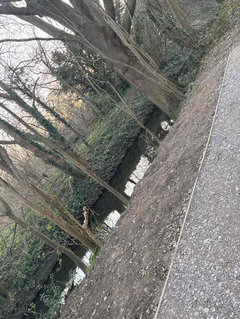 walking near me in Southwood in spring