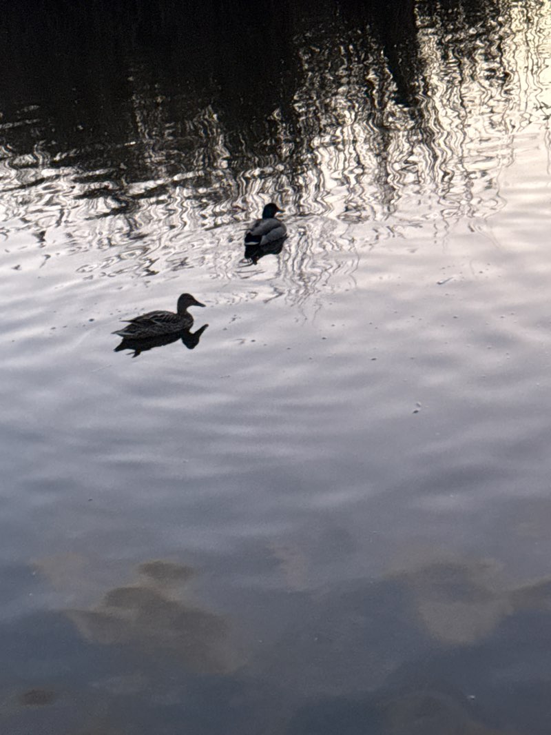 walking near me in Three Kings Piece in spring