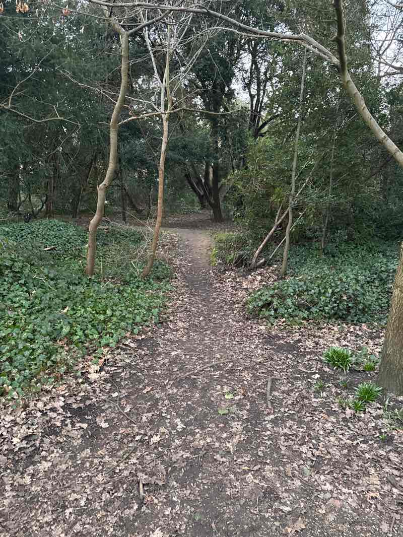 walking near me in Langdon Park in spring