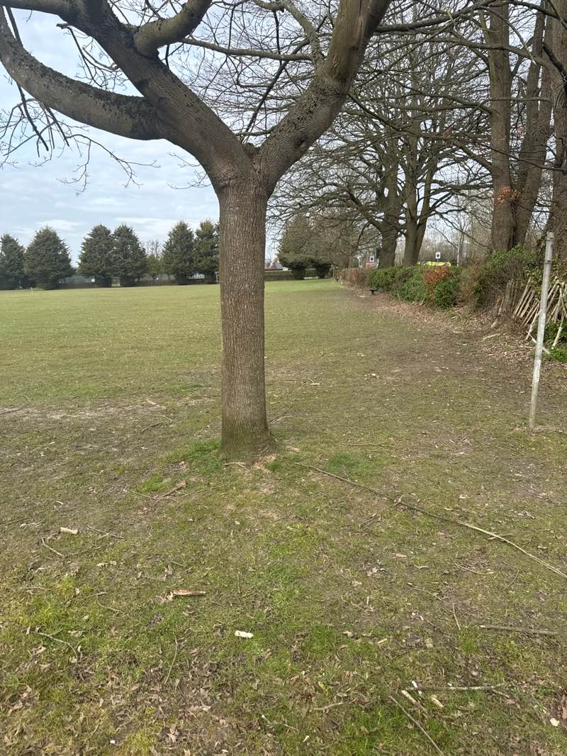 walking near me in Sir Francis Barker Recreation Ground in spring