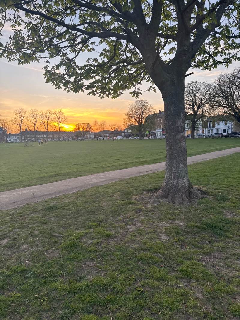 walking near me in Twickenham Green in spring