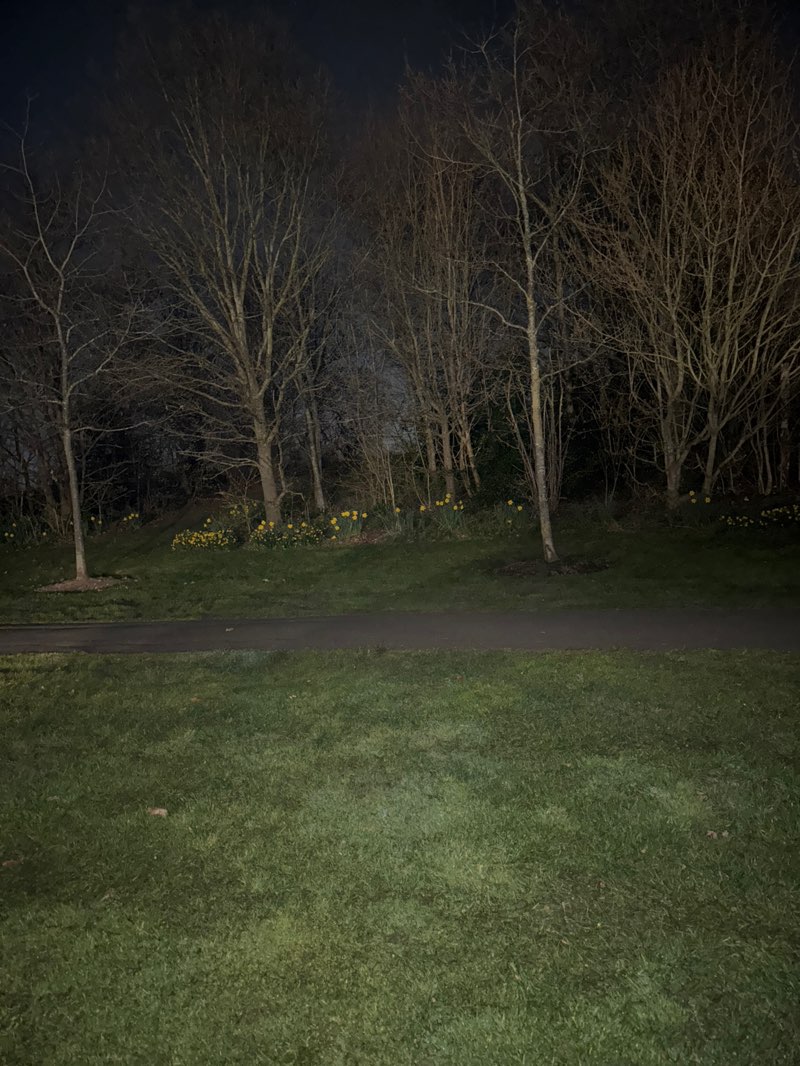 walking near me in Amphitheatre in spring