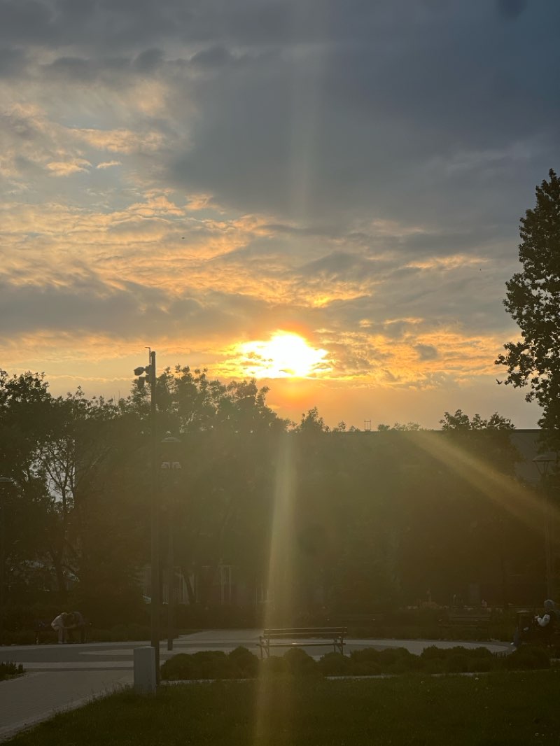 walking near me in Jana Pawła II Papieża Pielgrzyma in spring