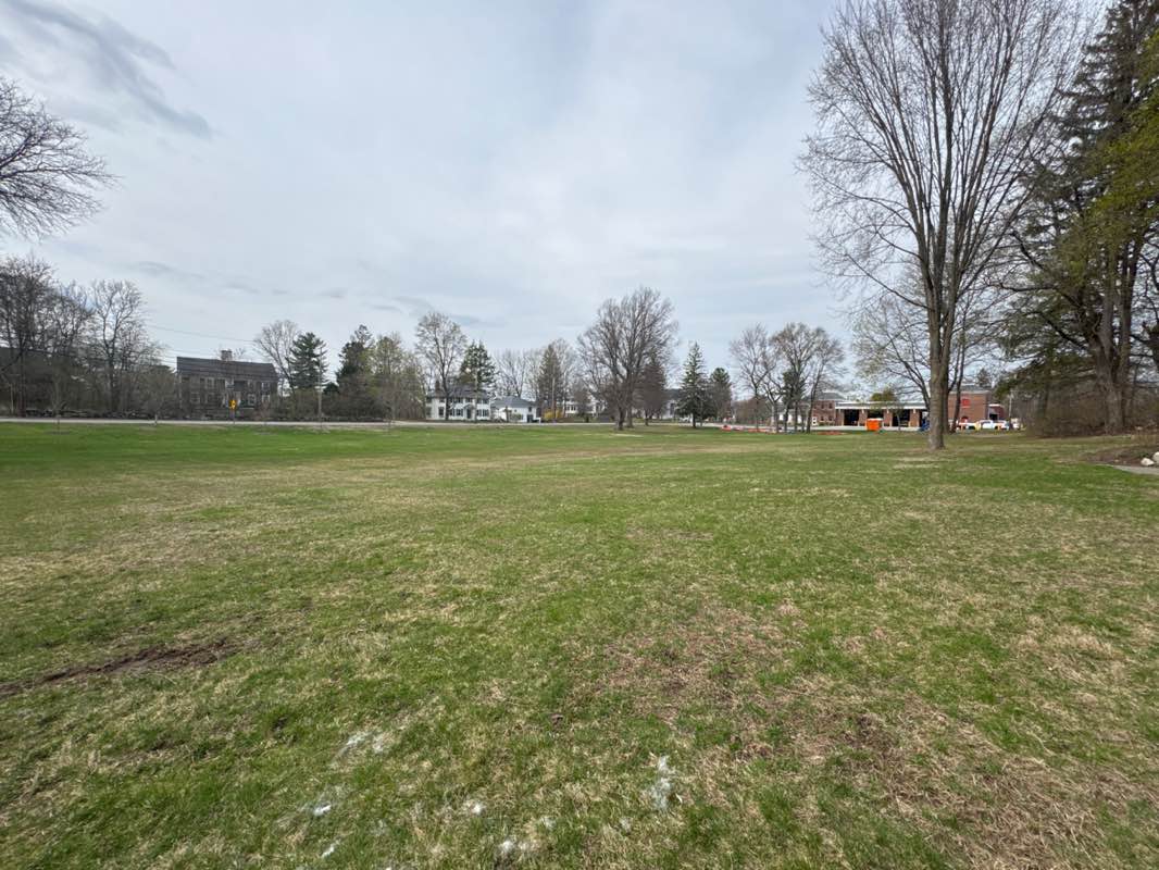 walking near me in Fay Park in spring