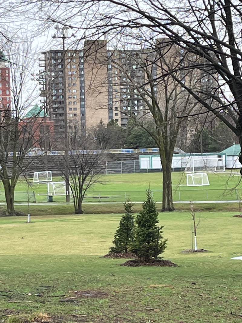 walking near me in Parc Berthiaume-Du Tremblay in spring