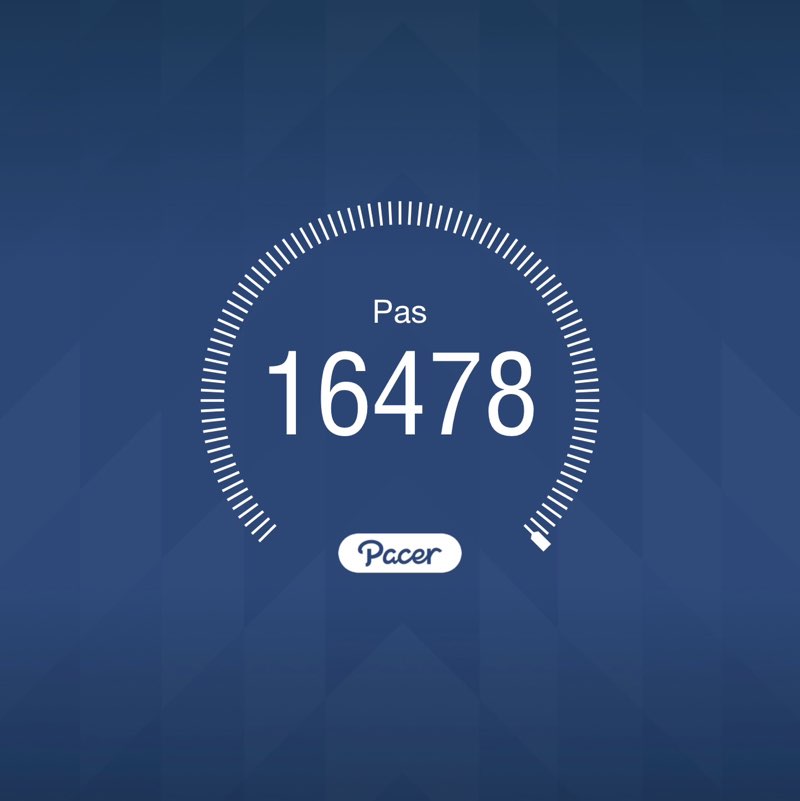 Wacky Races Trips Aynur post image