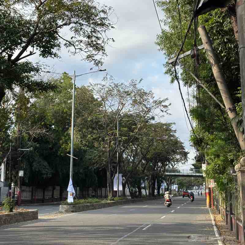 Angelica Agurilla post 2