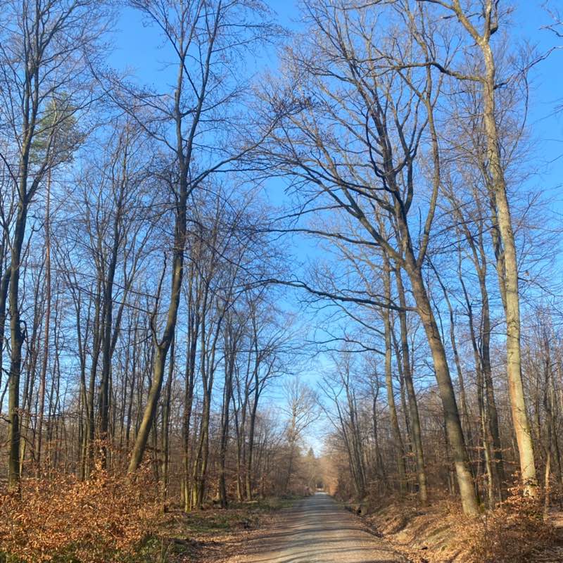 shweta kiran profile