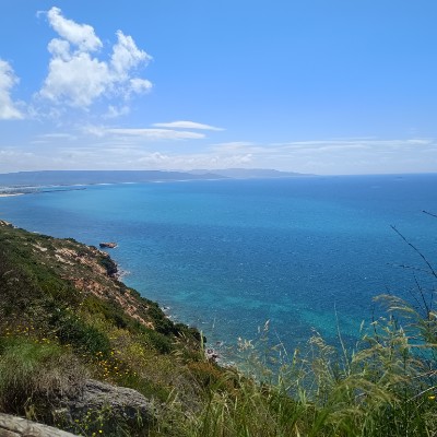 BP Fitness elisa mm post image