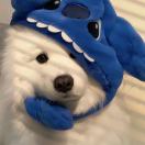 新中心市场汤猪🐷佬