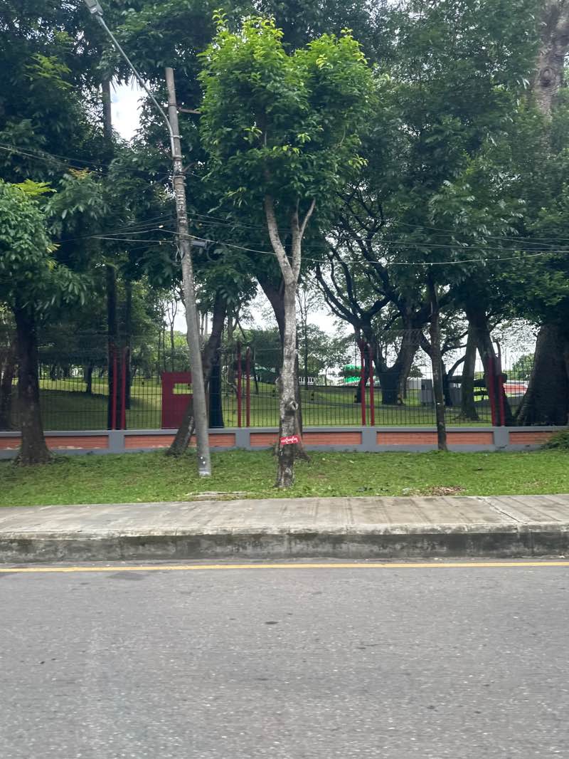 walking near me in Memorial park in summer
