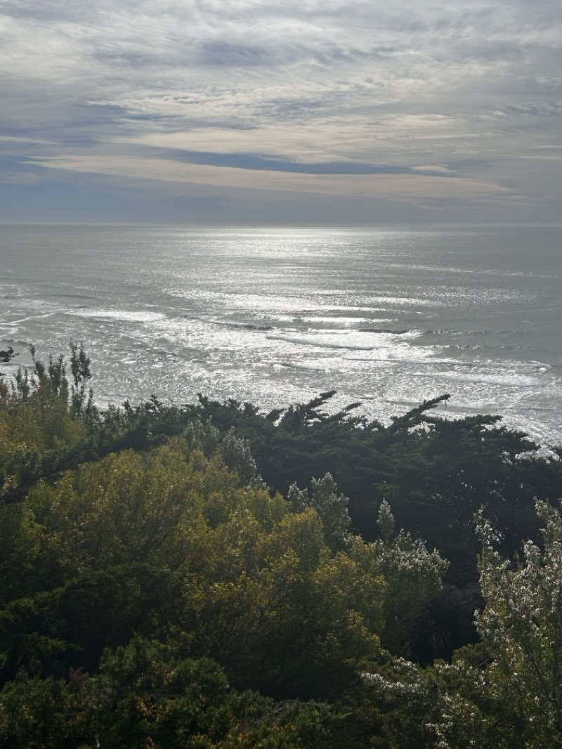 walking near me in Golden Gate Park in spring