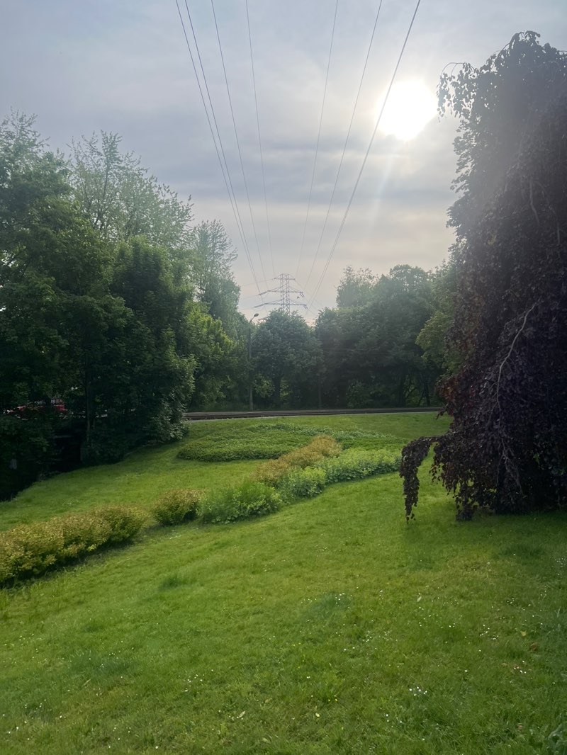 walking near me in Park Adama Wodziczki in summer
