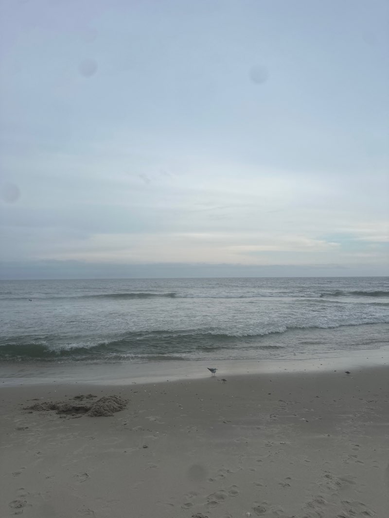 walking near me in Island Beach State Park in autumn