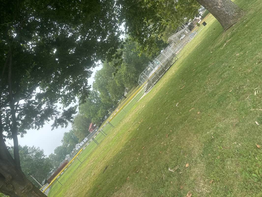 walking near me in Albion Memorial Park in autumn