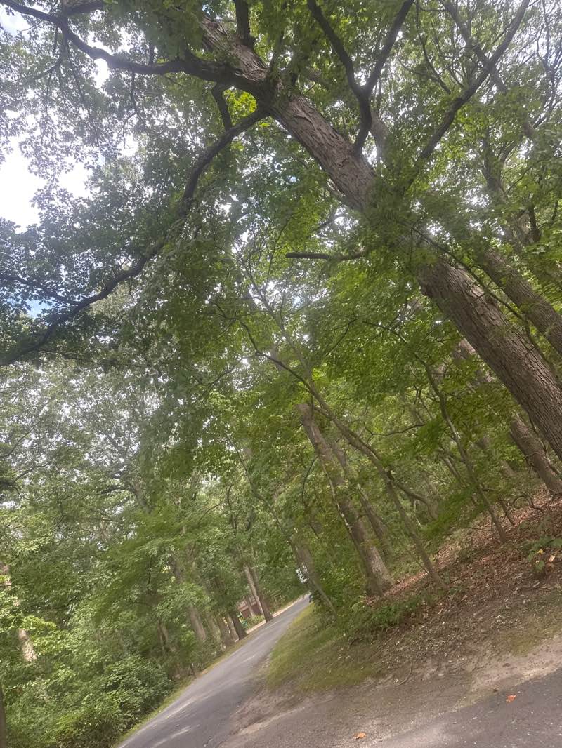 walking near me in Cheesequake State Park in autumn