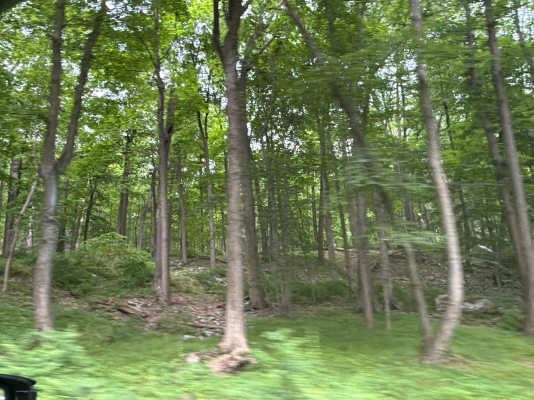 walking near me in Harriman State Park in summer
