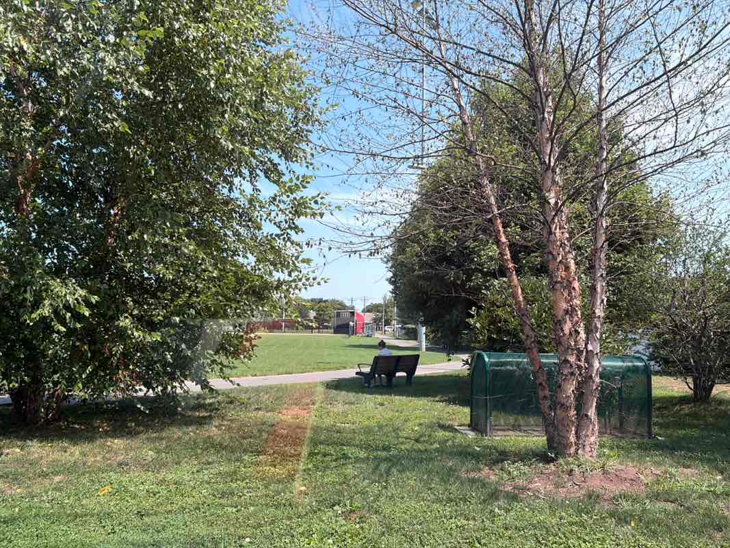 walking near me in Memorial Park in summer
