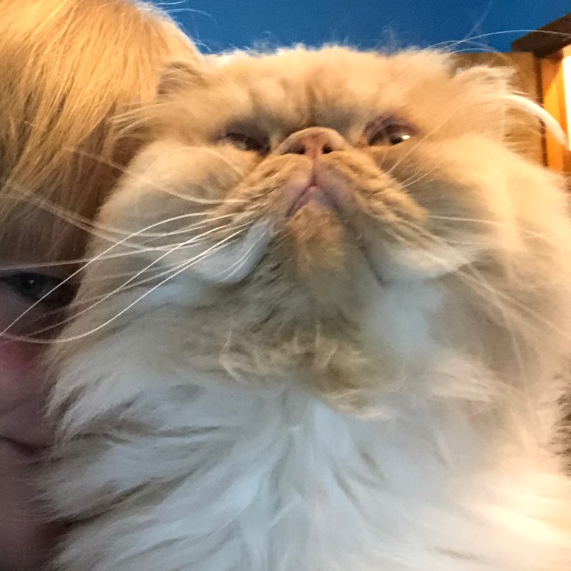 LoveGinger