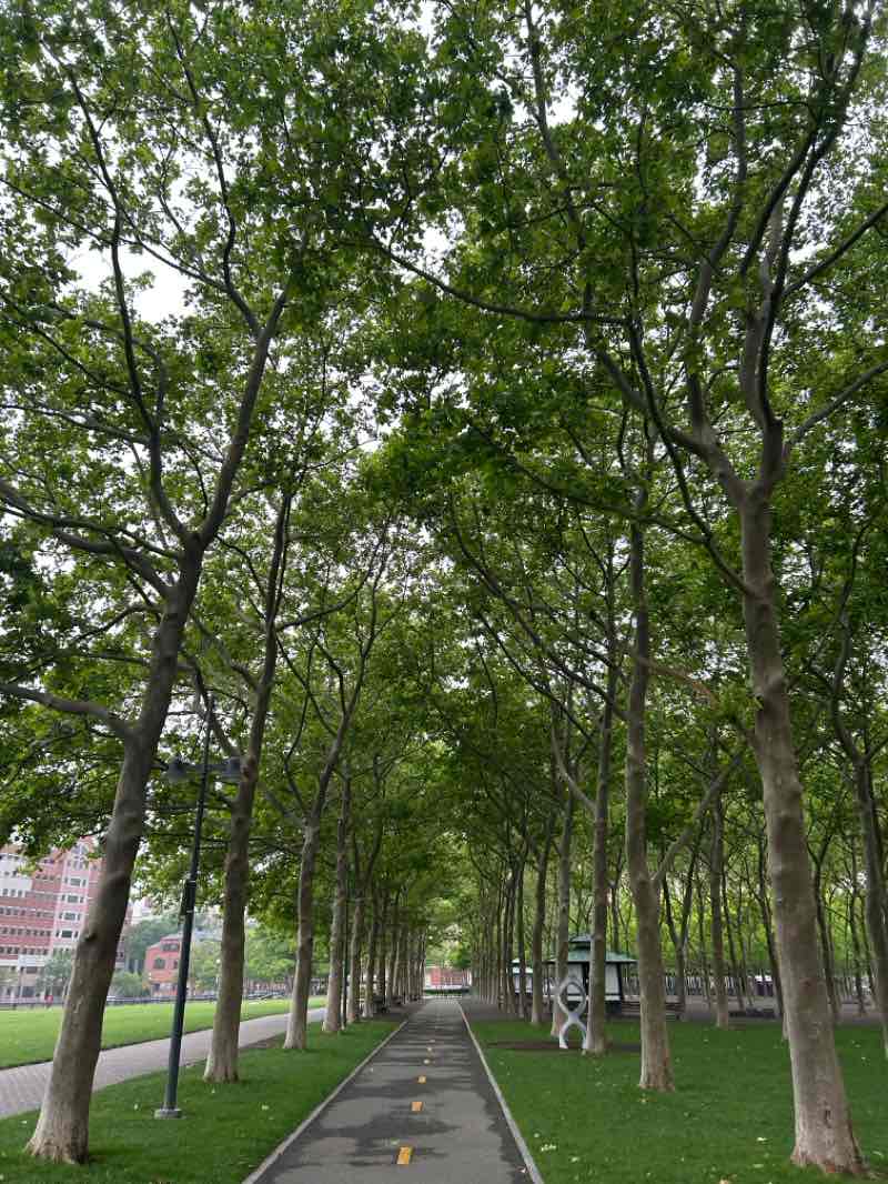 walking near me in Pier C Park in summer