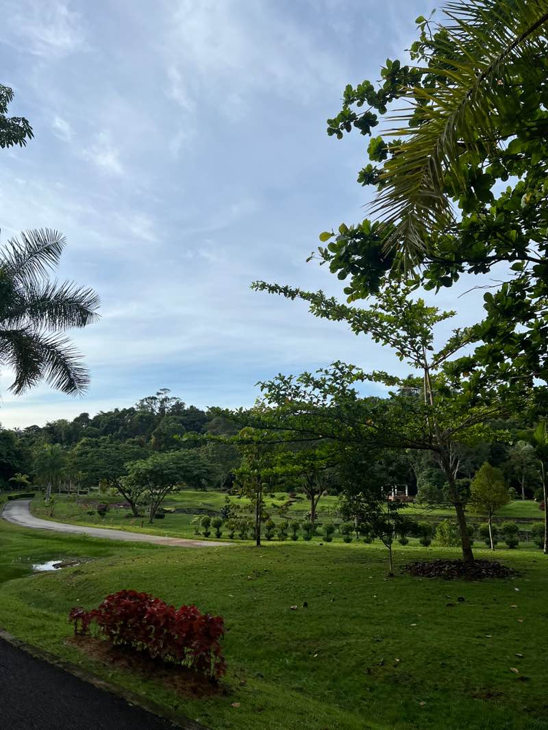 walking near me in Jalan Menteri Besar Recreational Park in spring