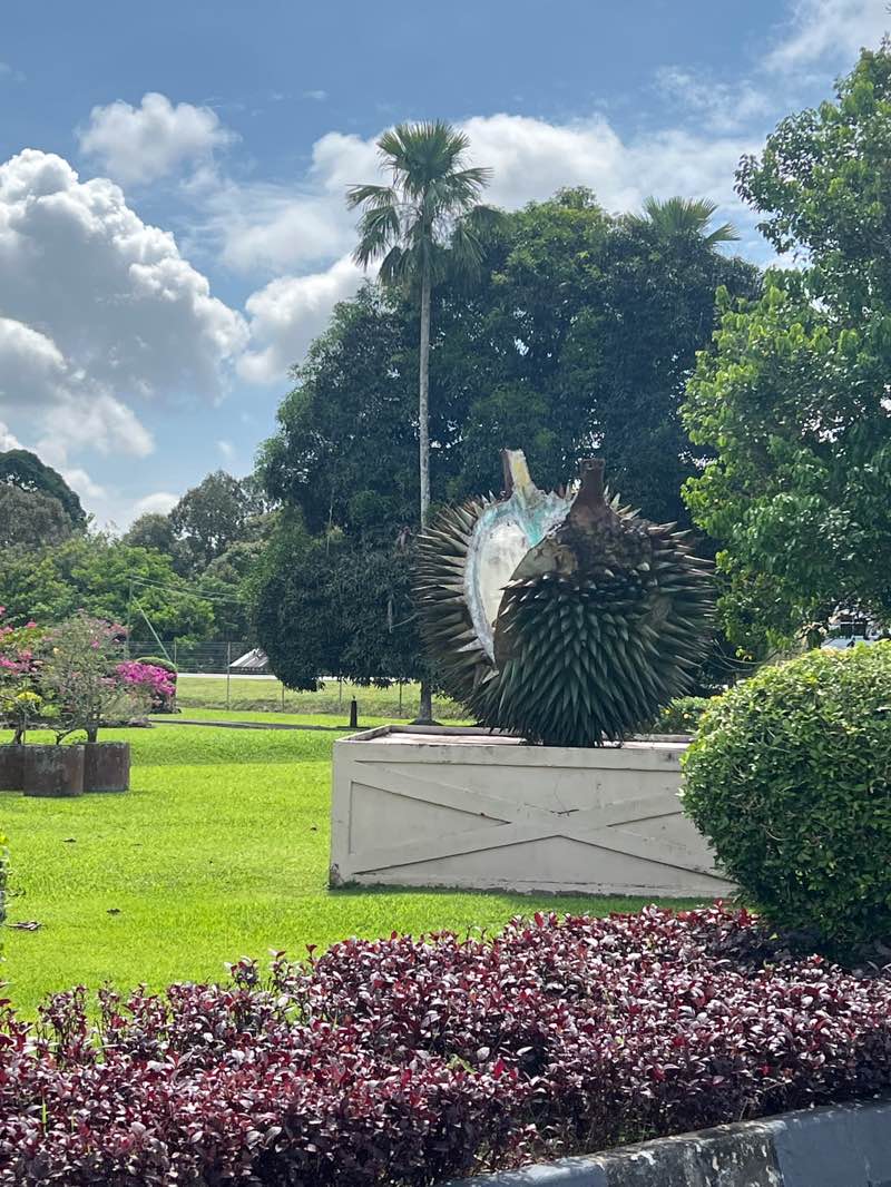 walking near me in Taman Rekreasi Mini Perayaan Kampong Parit in spring