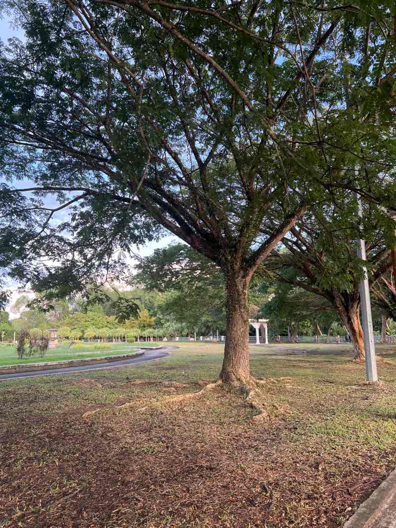 walking near me in Taman Jubli Perak Sultan Haji Hassanal Bolkiah in summer